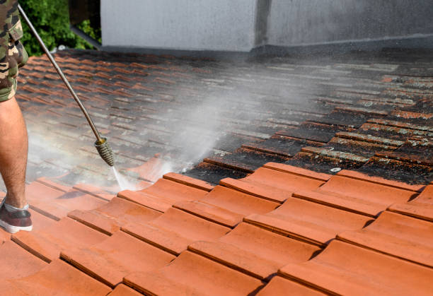 Best House Pressure Washing  in Madill, OK